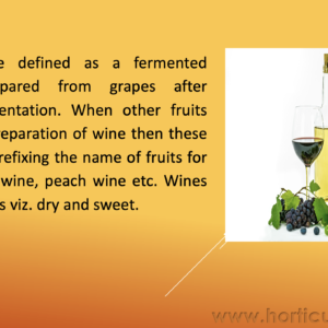 Fermented Beverages PPT